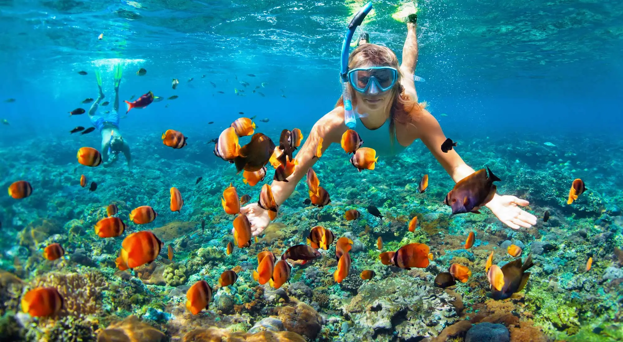Coiba Scuba Experience
