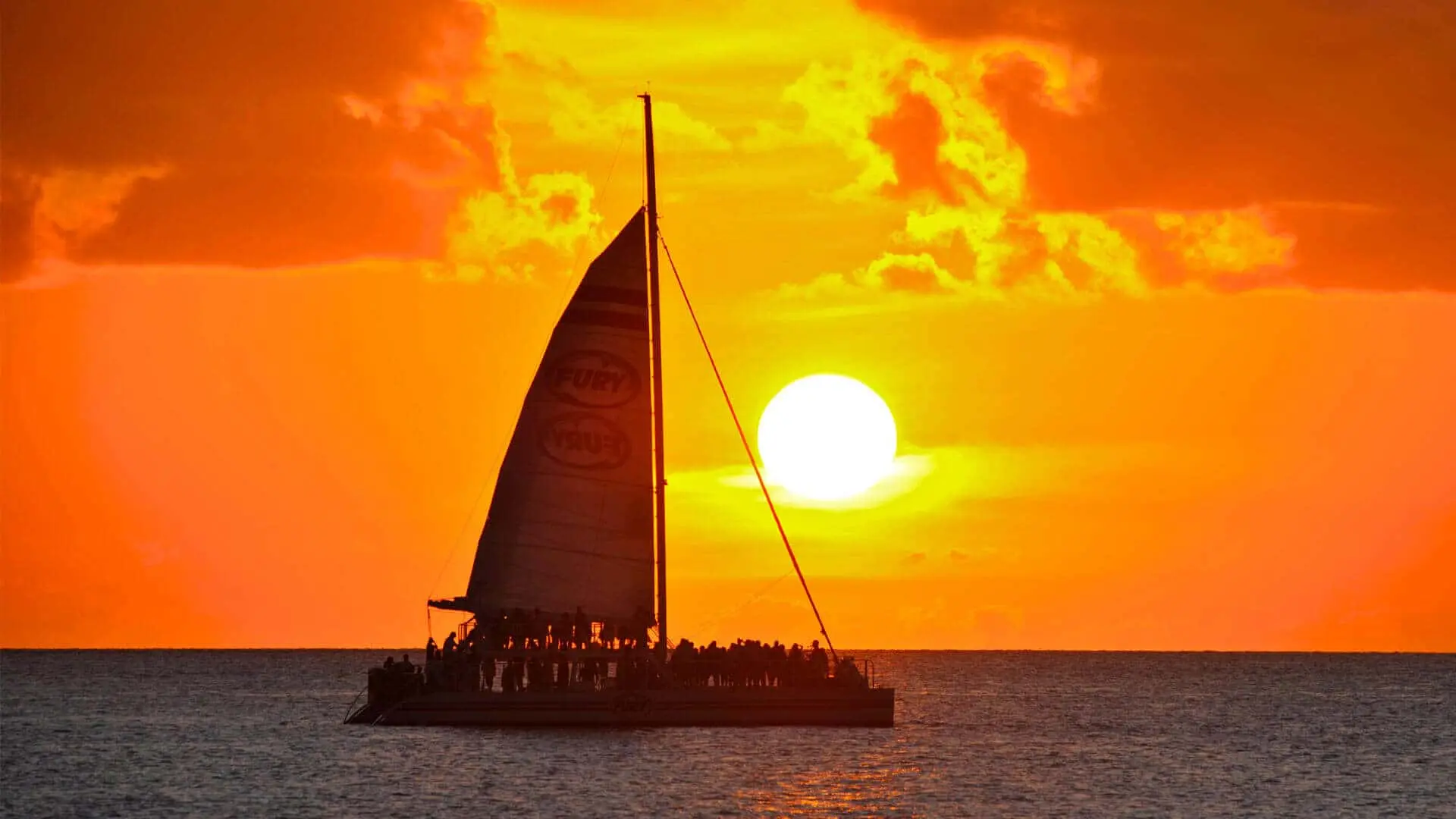 Best Santa Catalina Tour Water Sports