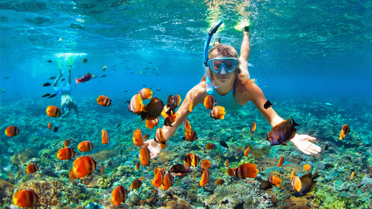 Snorkeling in Santa Catalina Panama