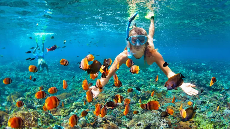 Glass Bottom Boat Tour